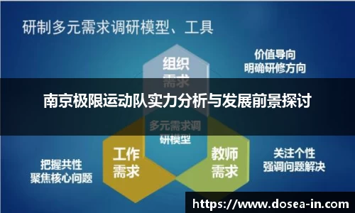 南京极限运动队实力分析与发展前景探讨